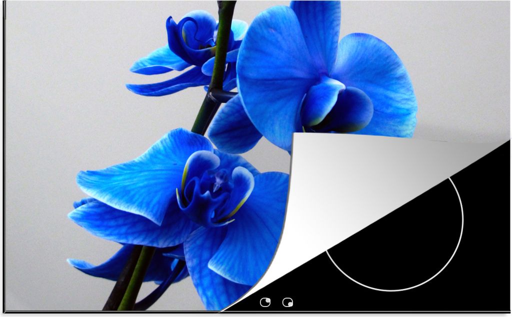 KitchenYeah Herdabdeckplatte Blaue Orchidee , 83x51cm, Küche Deko, Glaskeramikfeld Herdabdeckung, Abdeckplatte fùr Kochfeld