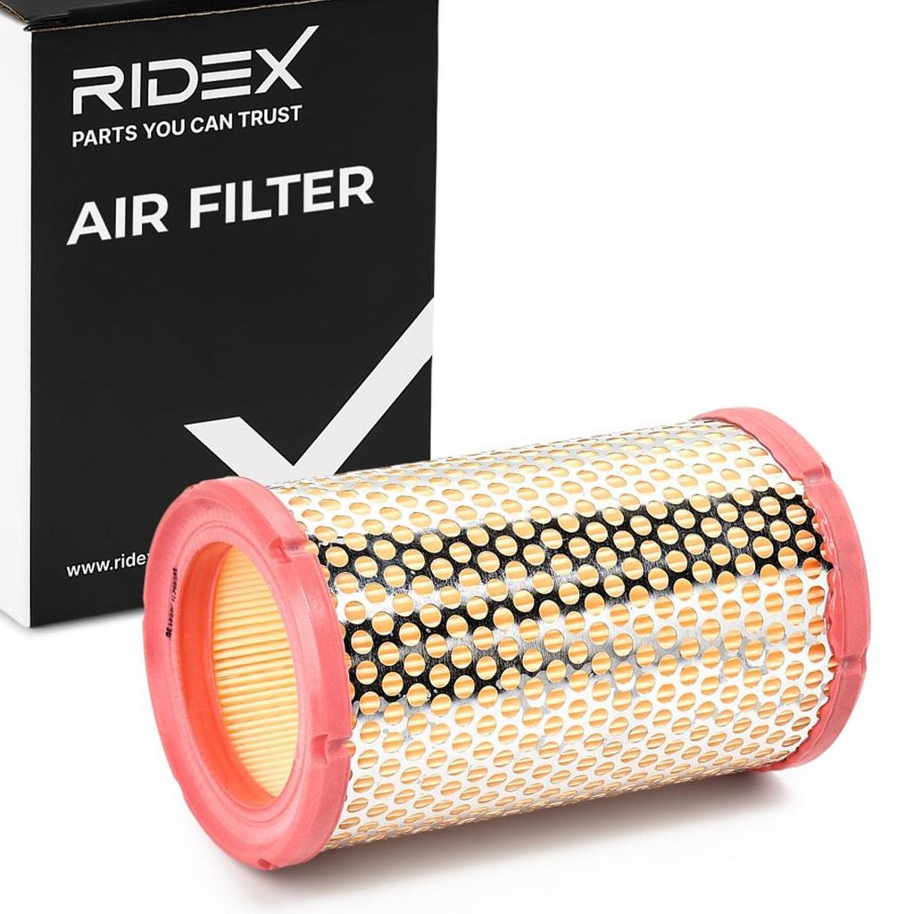 RIDEX 8A0090 Luftfilter für RENAULT TWINGO II (CN0) Produktbild 