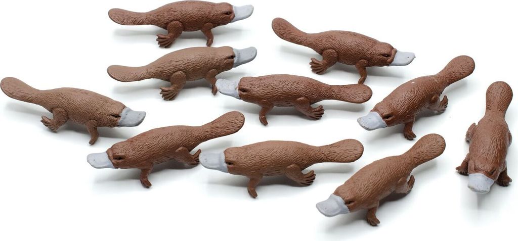 10x Schnabeltier Set Figuren Aufstellfiguren Tierfiguren Platypus Australien 7cm