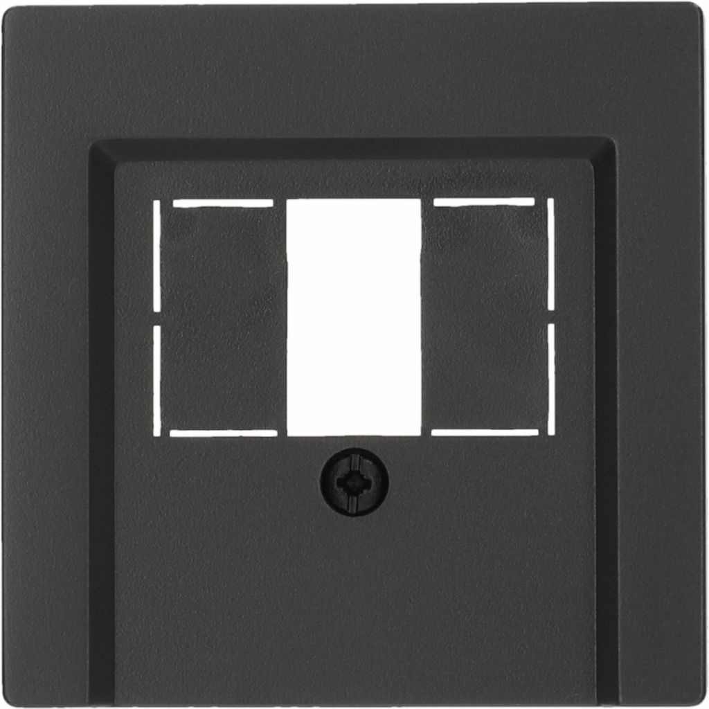 Merten Zentralplatte f.TAE/Audio/ 297914 USB anthrazit System M