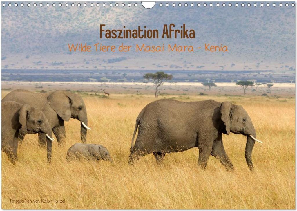 Faszination Afrika - wilde Tiere der Masai Mara - Kenia (Wandkalender 2026 DIN A3 quer), CALVENDO Monatskalender