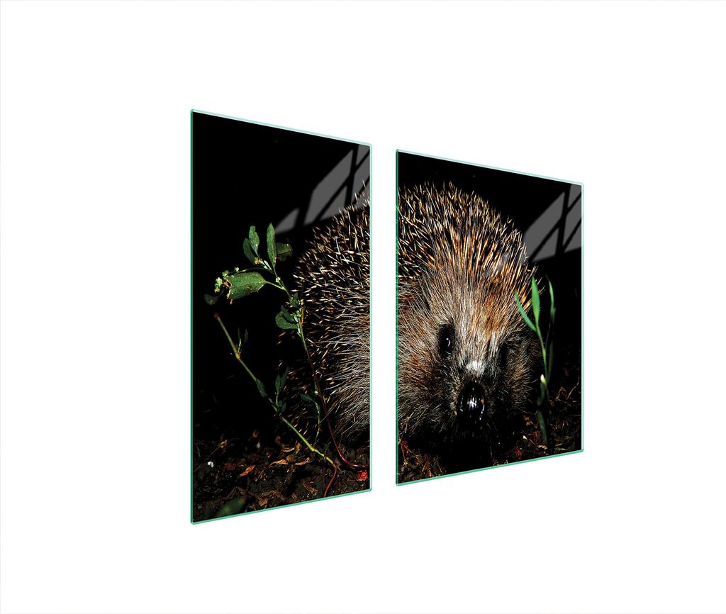 Glasschutzplatte Für Herd 90X52 Igel