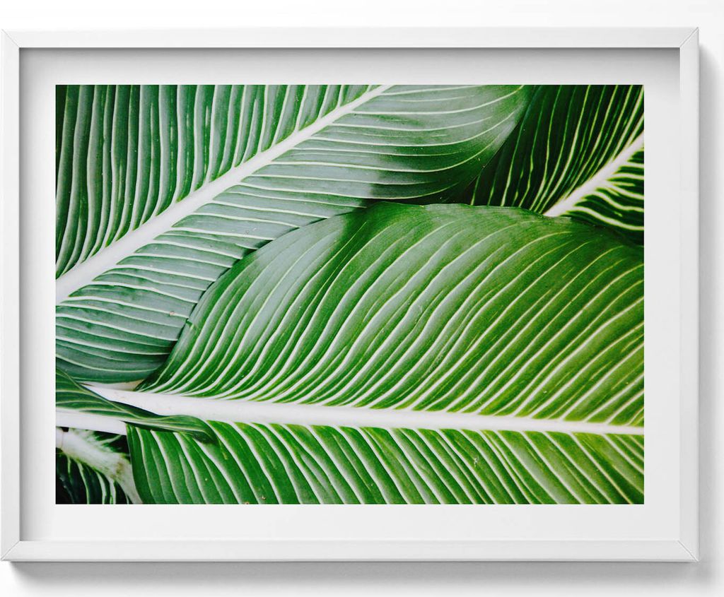 Exotische grüne Blätter– Wandbild mit Rahmen – Gerahmtes Bild – Wanddekoration – 80x60 cm – Weiß Rahmen