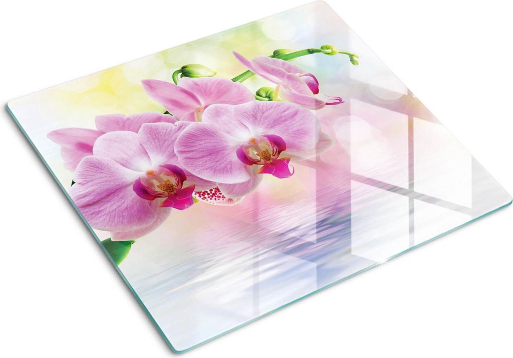 Placa de protección de vidrio – Cubierta para placa de Imagen del producto 