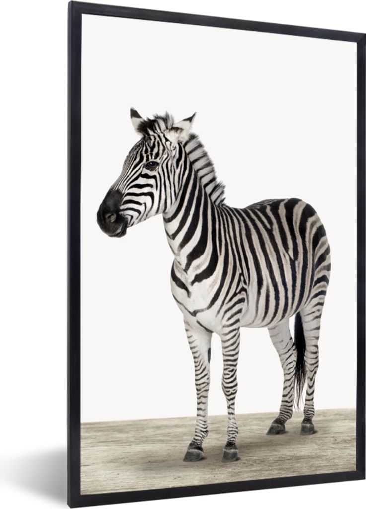 MuchoWow Gerahmtes Poster Zebra - Mädchen - Tiere - Kinder - Jungen 60x90 cm - Poster mit Schwarzem Bilderrahmen Wandposter Rahmen Foto Bilder -...