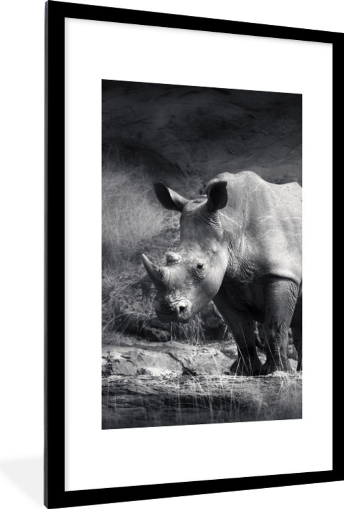MuchoWow Gerahmtes Poster Rhinozeros - Natur - Gras - Schwarz - Weiß 60x90 cm - Poster mit Schwarzem Bilderrahmen Wandposter Rahmen Foto Bilder ...