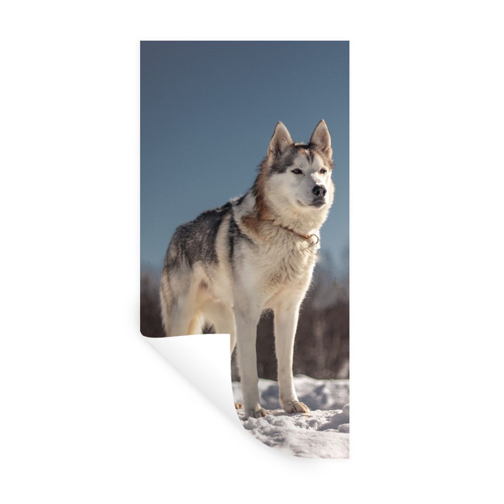 MuchoWow Wandtattoo Wandsticker Wandaufkleber Husky im Schnee 60x120 cm Selbstklebend und Repositionierbar - Selbstklebend - Fototapeten
