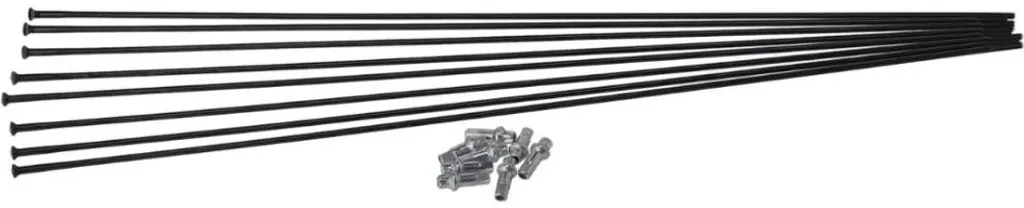 Lot de rayons pour roues carbone PRC 1400 Spline 65 DT Swiss noir uni