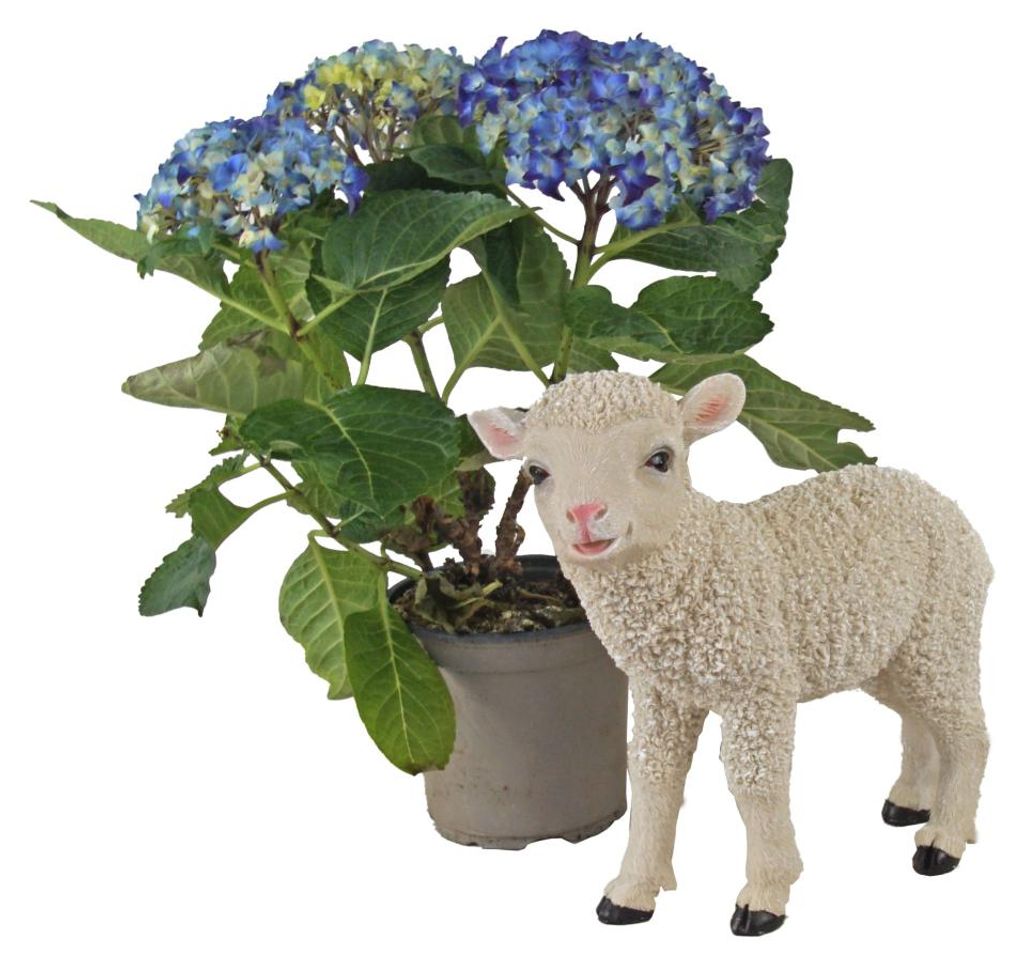 Dekoratives Lamm – Liebevolle Garten- und Wohnraumdekoration