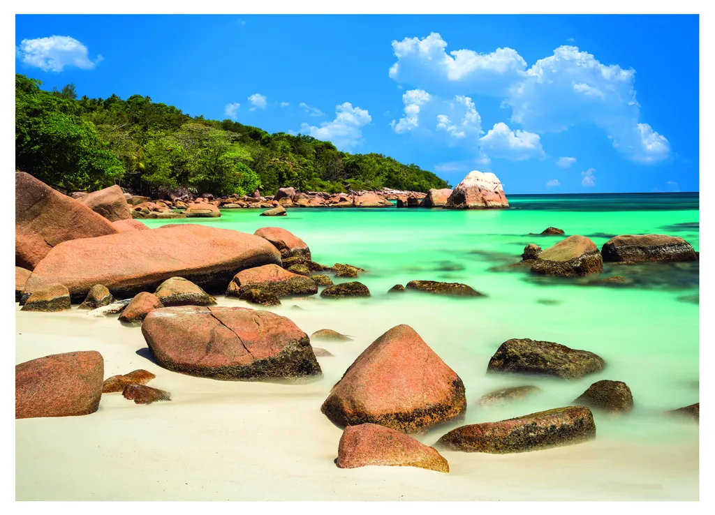 Puzzle Dino Beach 2000 pièces - Occupez vos Loisirs avec un Grand Défi