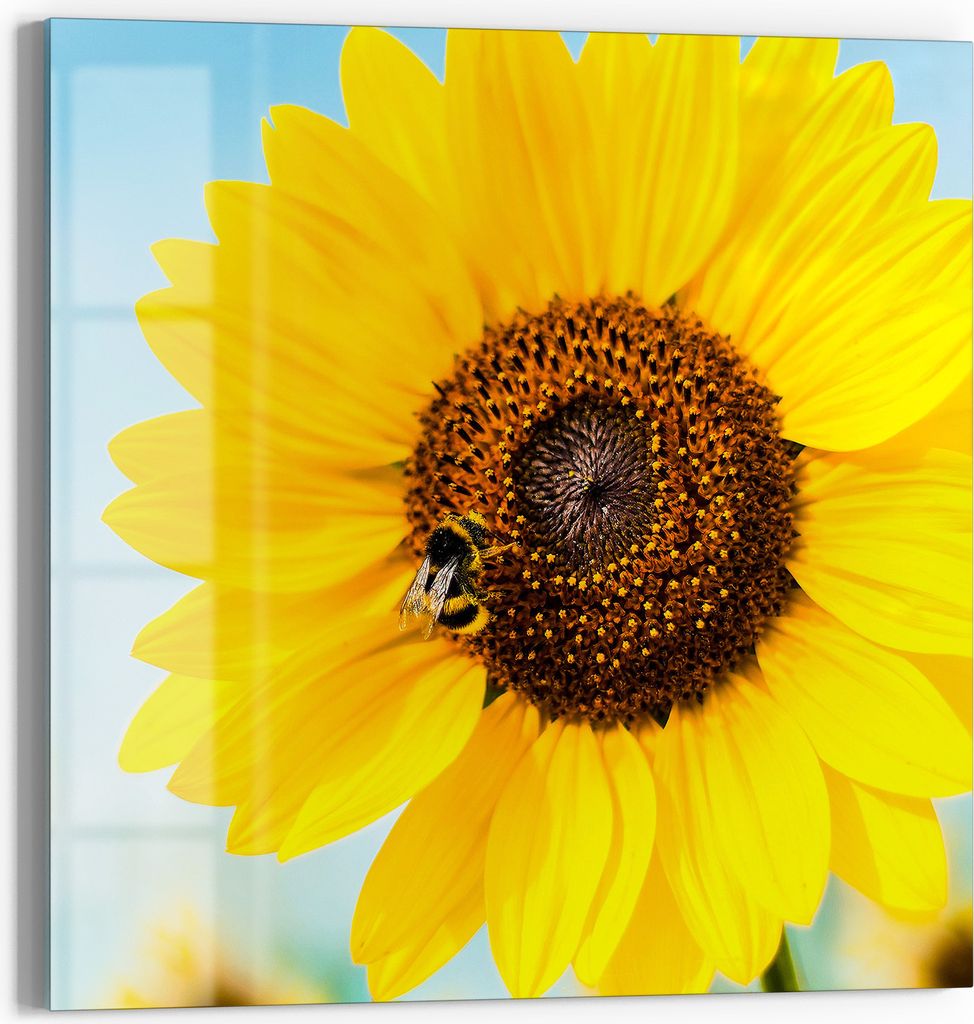 DEQORI Magnettafel Glas 30x30 cm 'Strahlender Sommerzauber' beschreibbar Whiteboard Küche