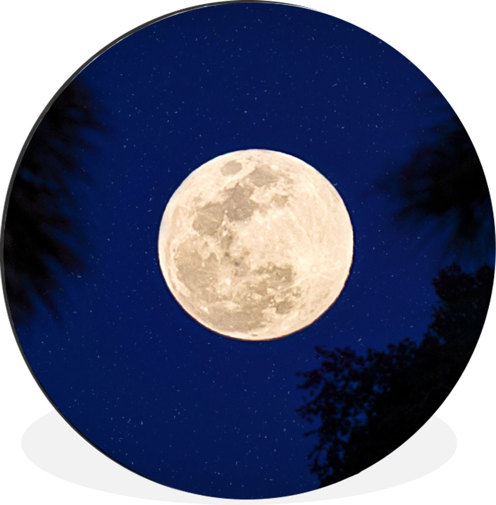 MuchoWow Aluminium Wandkreis Mond - Bäume - Nacht Ø 30 cm Wanddeko Modern Wohnzimmer - Wand Bild - Wohnzimmer - Runde Bilder - Alubilder - Kuns...