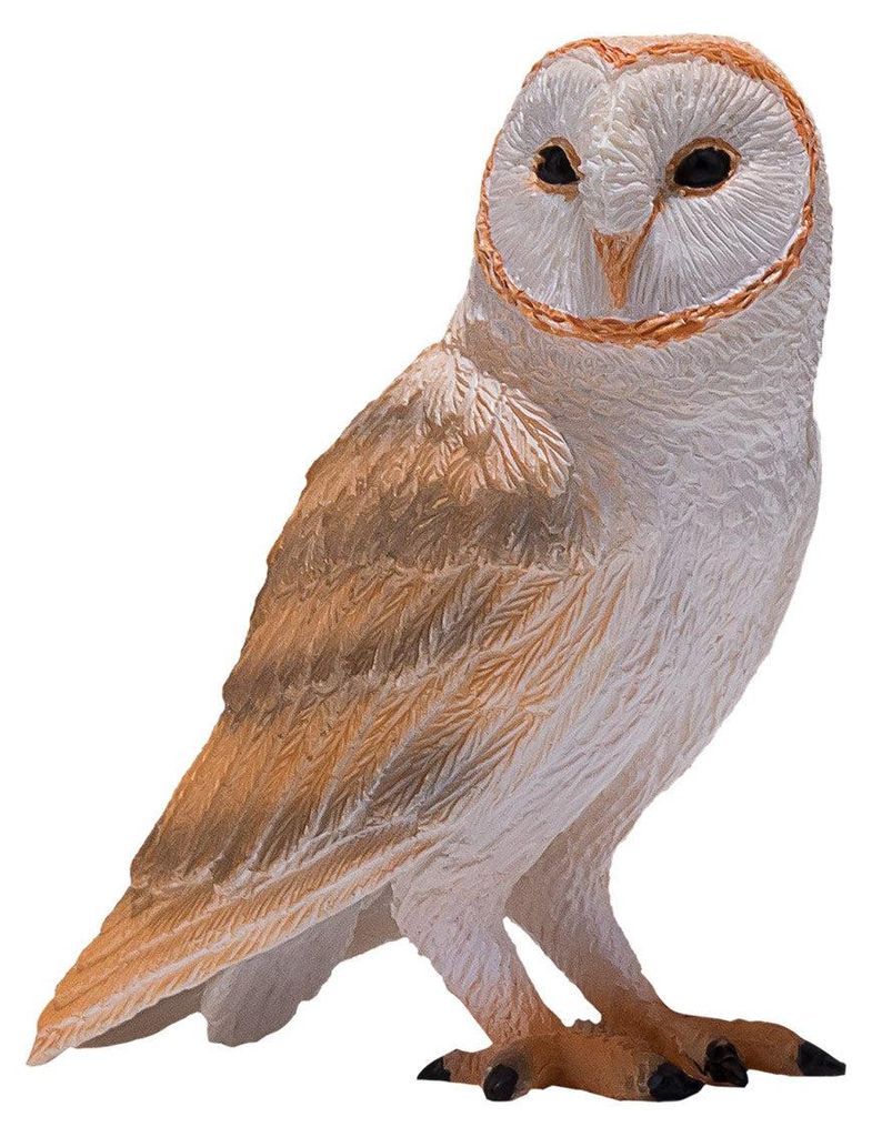 Mojo Wildlife Kerkuil - 381054 Image du produit 
