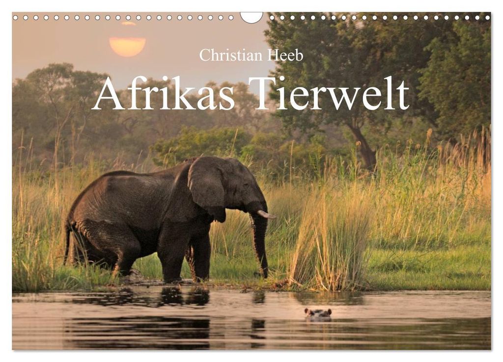 Afrikas Tierwelt Christian Heeb (Wandkalender 2027 DIN A3 quer), CALVENDO Monatskalender