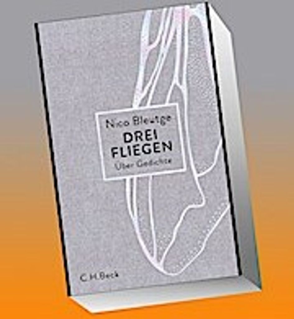 Drei Fliegen