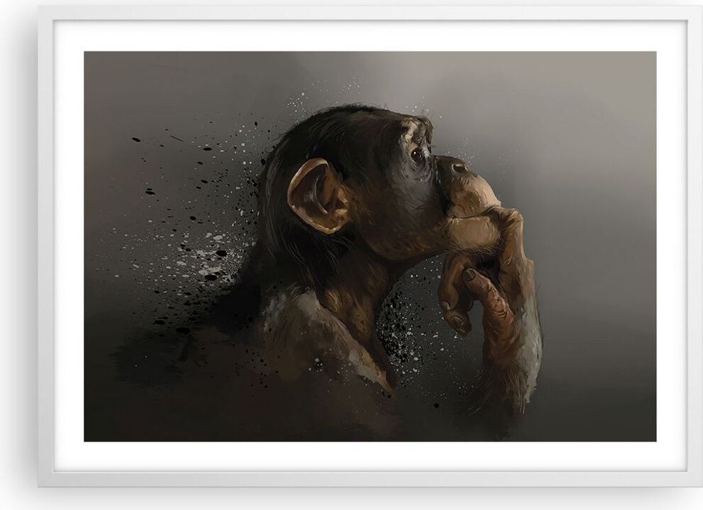 Gerahmtes Poster - Weißer Rahmen - Schimpanse Porträt Grafik - 70x50 cm - Wand Bild - Wanddeko - Wandbilder - Kunstposter - Wandposter - Bilderra...