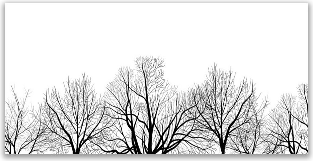 Tulup Leinwand-Bilder 140x70 Wandbild Canvas Kunstdruck Bäume Natur