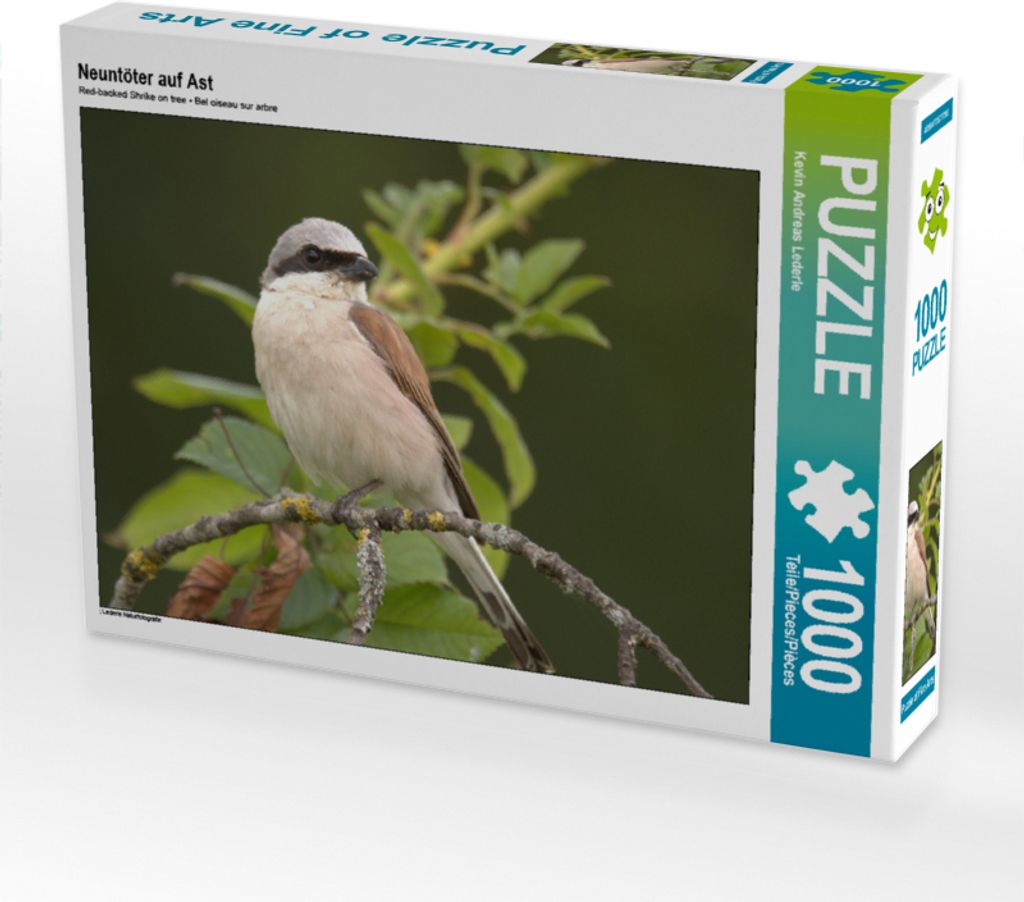 CALVENDO Puzzle Neuntöter auf Ast | 1000 Teile Lege-Größe 64x48cm Foto-Puzzle für glückliche Stunden
