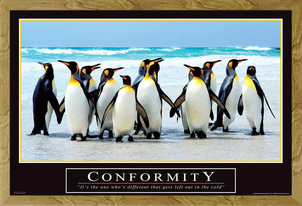 Affiche Conformity Shinsuke Cadre Interchangeable Chêne et Vitre Acrylique