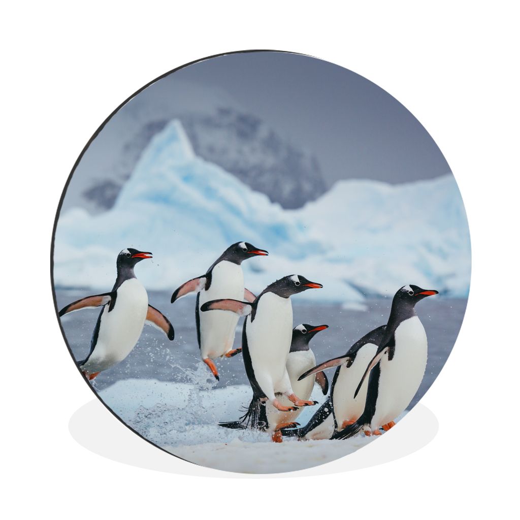 MuchoWow Aluminium Wandkreis Pinguine springen aus dem Wasser Ø 90 cm Wanddeko Modern Wohnzimmer - Mauerkreis - Wandbilder - Runde Bild - Bild a...