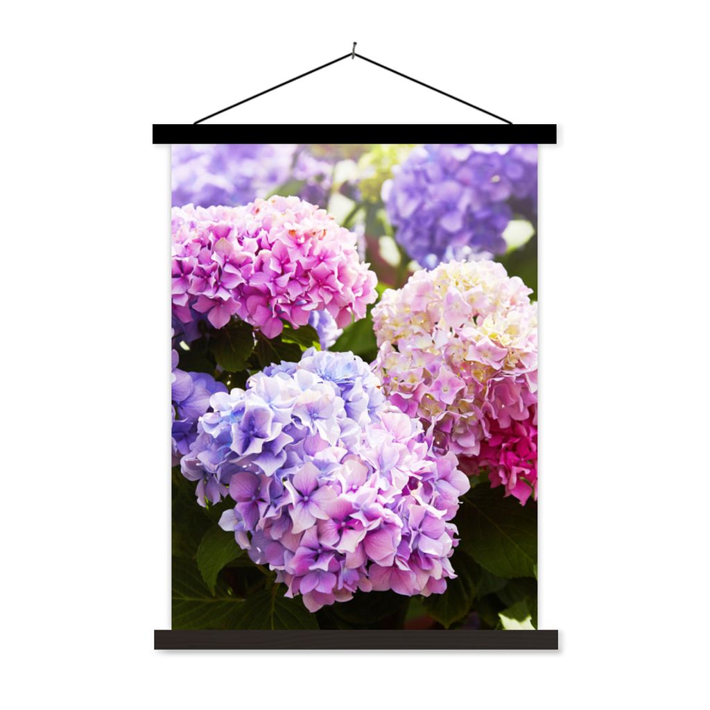 MuchoWow Textilposter Blumen - Hortensie - Rosa - Blätter - Sonne 120x160 cm mit schwarzem Rahmen - Magnetischer