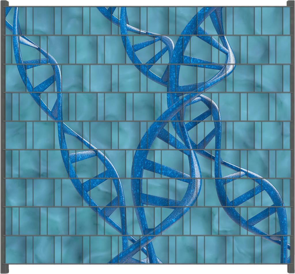 Wallario Zaunsichtschutz mit Motiv DNA-Strang in blau auf türkisem Hintergrund für Ein- und Doppelstabmatten Zäune in der Größe 200 x 180 cm