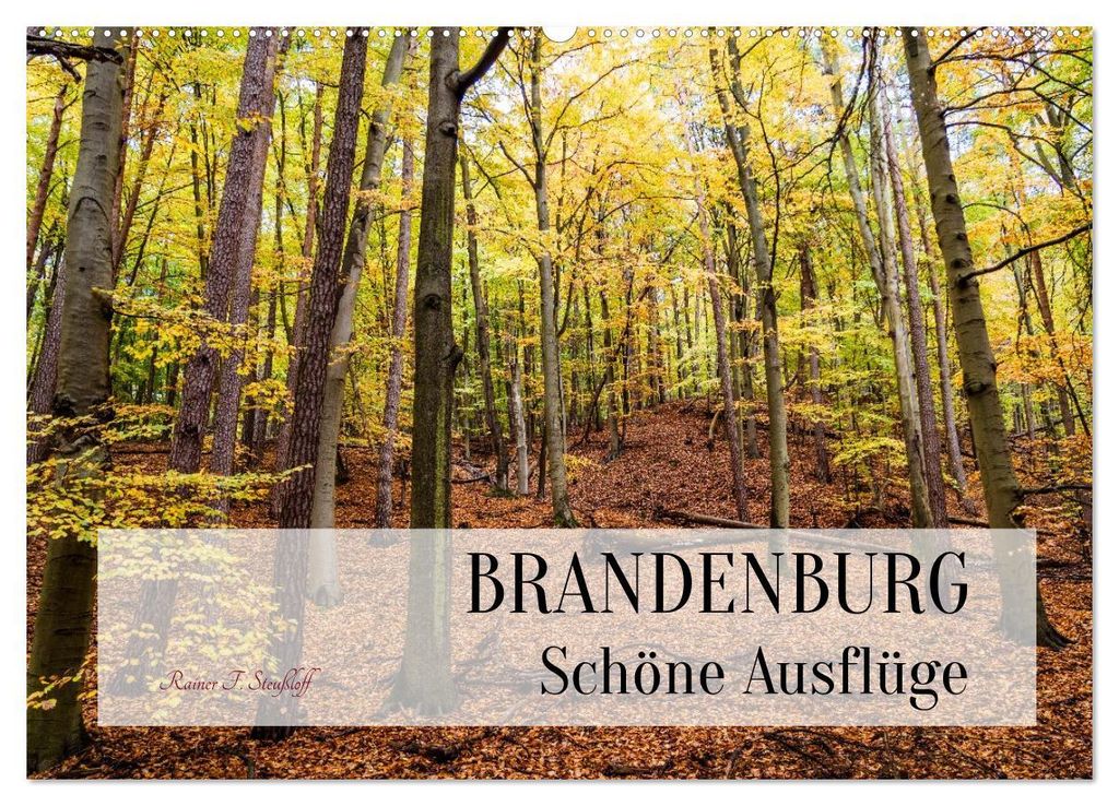 Brandenburg Schöne Ausflüge (Wandkalender 2027 DIN A2 quer), CALVENDO Monatskalender