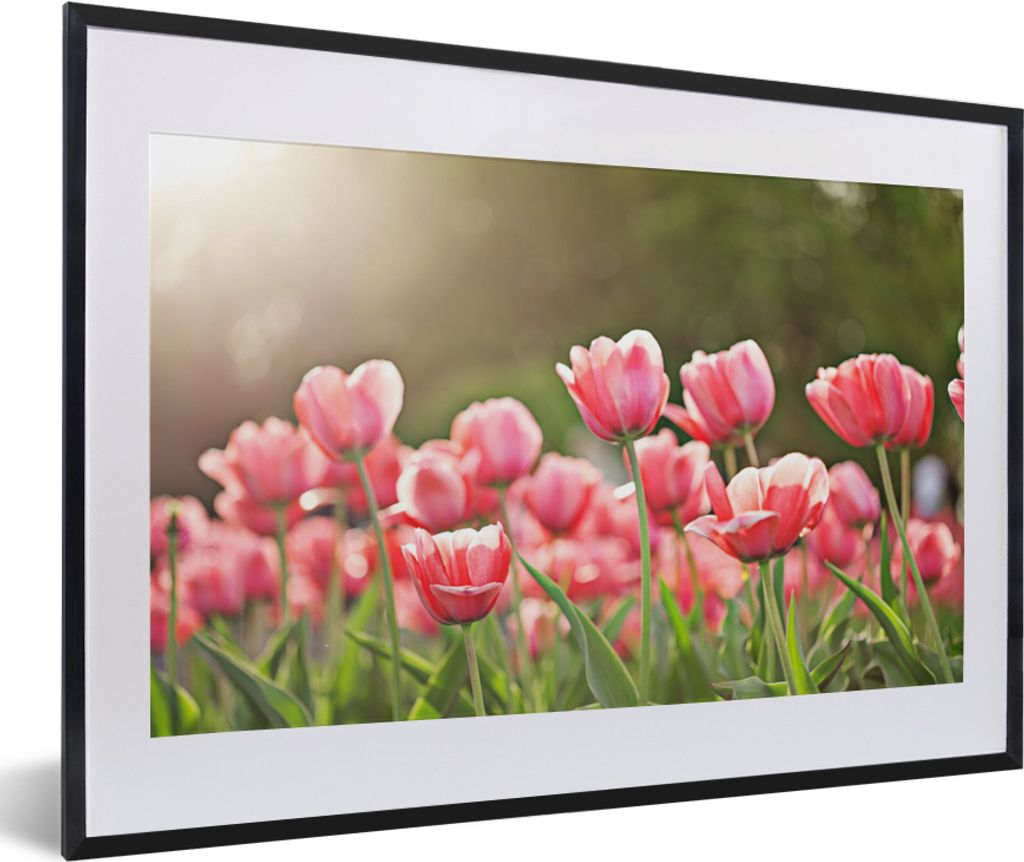MuchoWow Gerahmtes Poster Tulpen - Sonne - Frühling 60x40 cm - Poster mit Schwarzem Bilderrahmen Wandposter Rahmen Foto Bilder - Schlafzimmer - ...