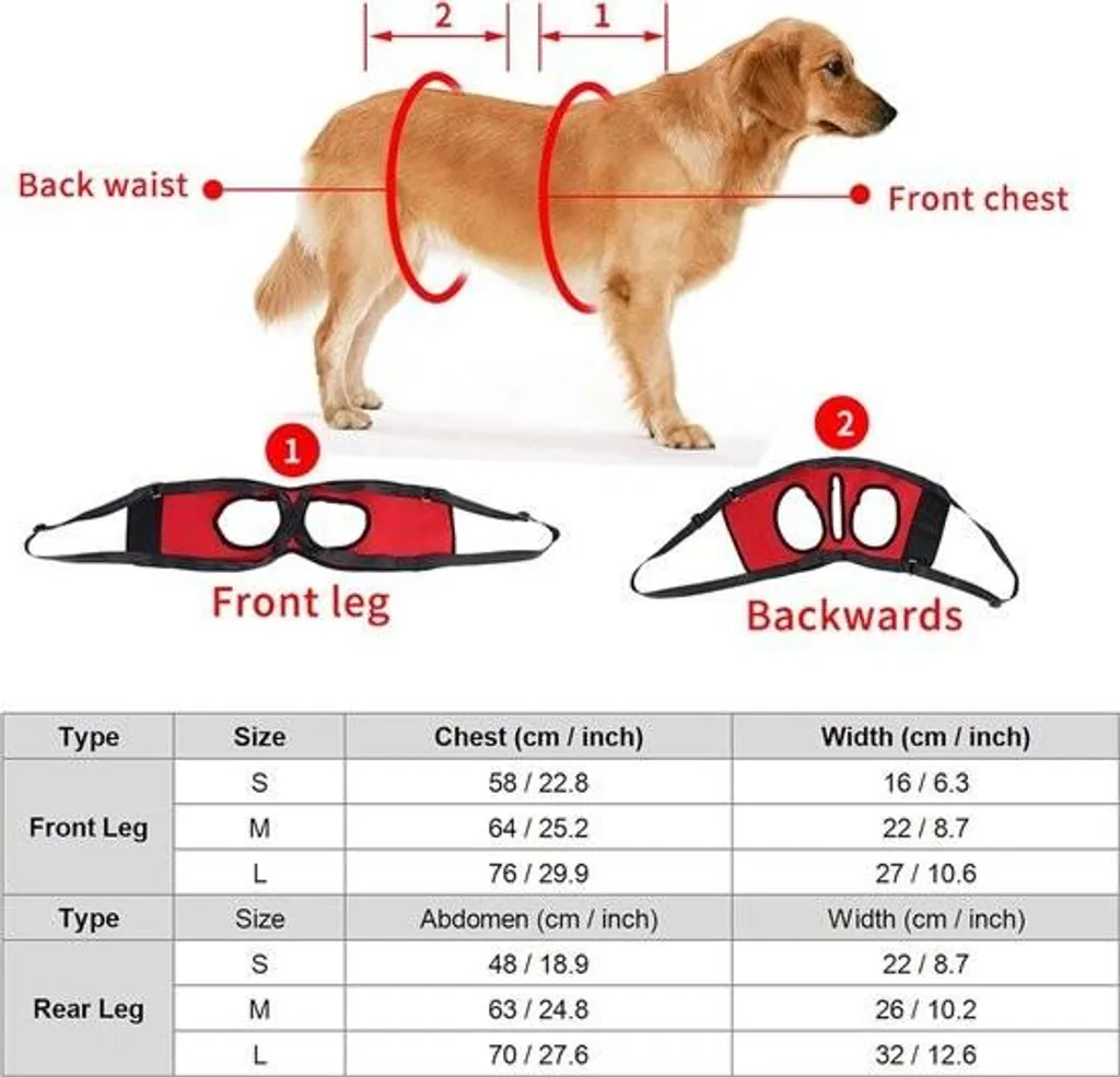 Aide à la marche pour chien handicapé ou blessé soutien arrière M