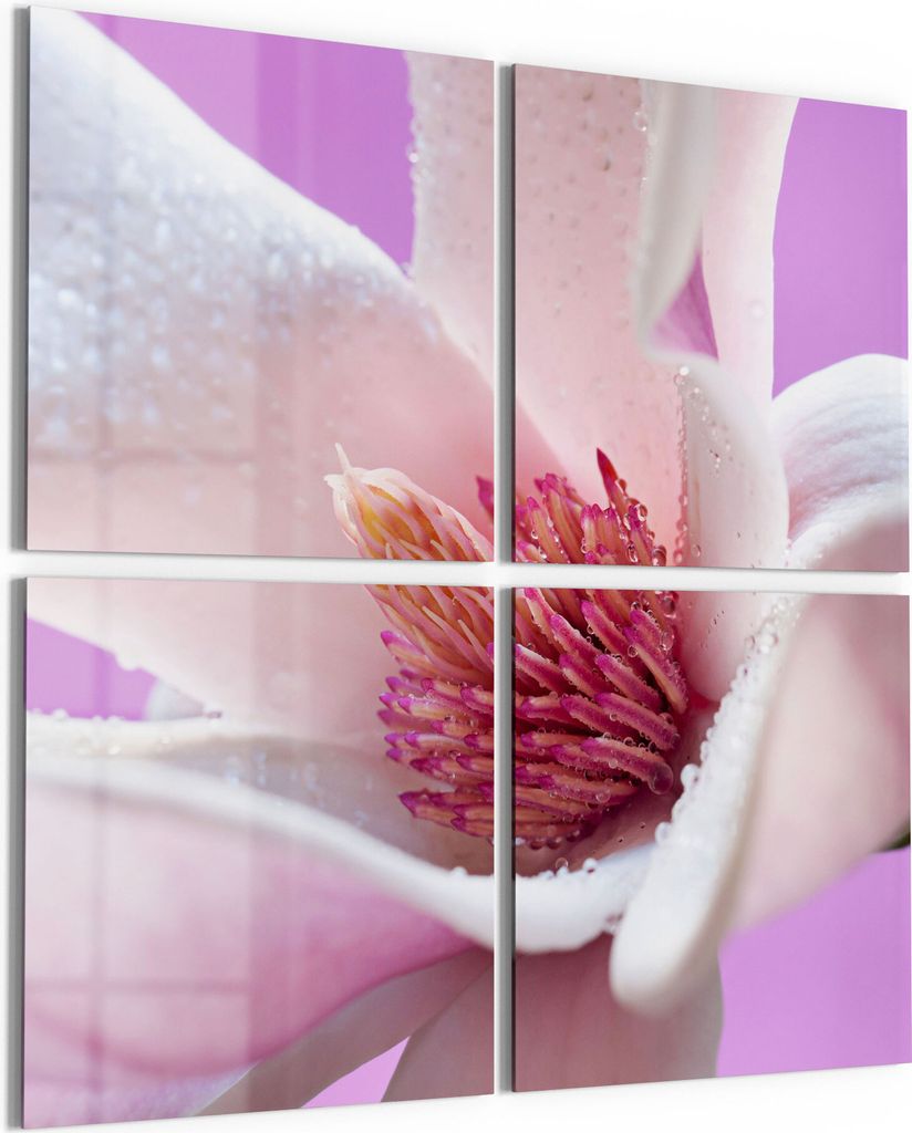 DEQORI Glasbild Echtglas 4x50x50 cm 'Magnolienblüte' Wandbilder XXL groß