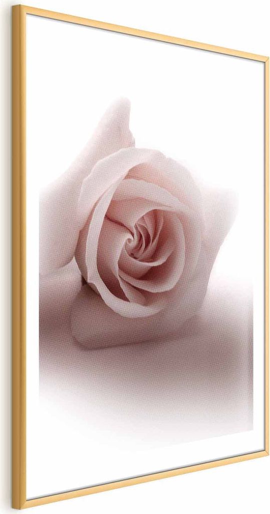 Posterpapier Poster - Rose Shadow 60x90 cm Blumen b-C-0402-ao-a