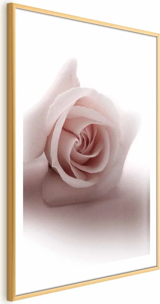 Poster Rose Shadow 60x90 cm con Cornice Dorata | Arredo Elegante Casa