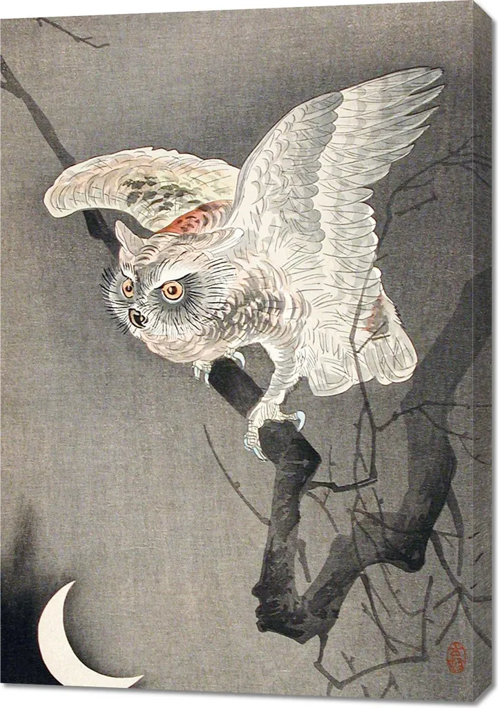 Tableau Scops Owl in Moonlight 70x100 cm - Impression Haute Définition