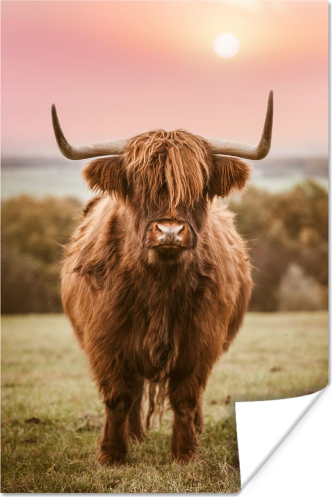 MuchoWow Poster Sonnenuntergang - Tier - Schottisches Hochlandrind 120x180 cm - Kunstposter