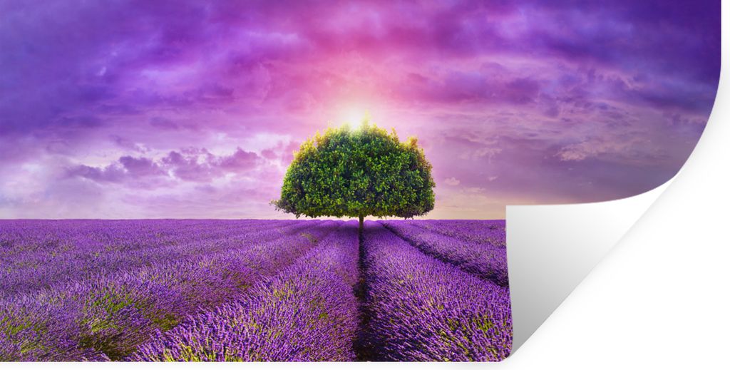 MuchoWow Wandtattoo Wandsticker Wandaufkleber Lavendel - Baum - Lila - Wolken 120x60 cm Selbstklebend und Repositionierbar - Sticker - Dekorfolie