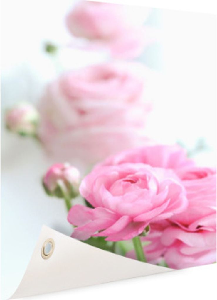 MuchoWow 80x120 cm Outdoor-Poster Gartendeko Sichtschutz Garten Poster für den Garten Nahaufnahme von rosa Blumen