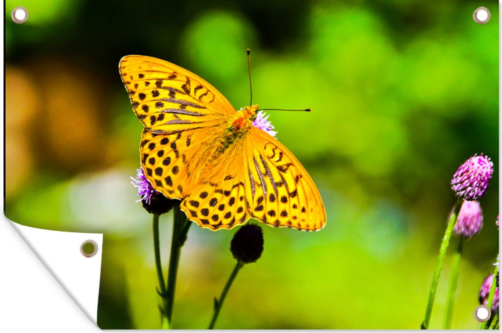 MuchoWow 60x40 cm Outdoor-Poster Gartendeko Sichtschutz Garten Poster für den Garten Schmetterling - Tiger - Blume