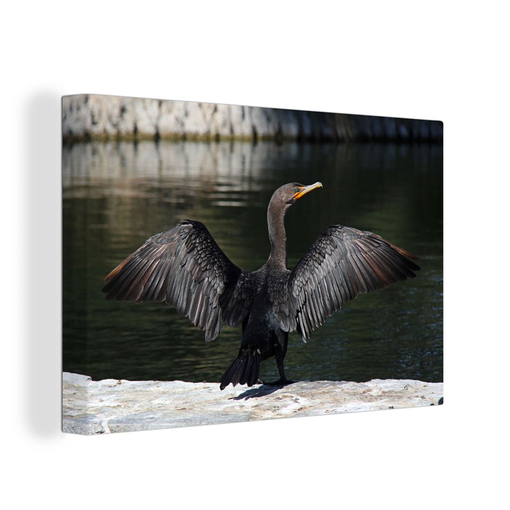 OneMillionCanvasses - Leinwandbilder - 140x90 cm, Tüpfelscharbe mit ausgebreiteten Flügeln, Wandbilder Kunstdruck Wanddekoration