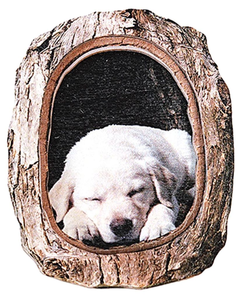 Kühlschrankmagnet mit Baumhöhlen-Tiermotiv, Kühlschrankmagnet aus Holz mit Tiermotiv, Dekoration für Zuhause, Büro, Küche, Schrank, Spind, Wh...