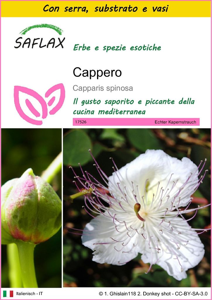 SAFLAX Insieme di coltivazione - Cappero - 25 semi - Immagine del prodotto 