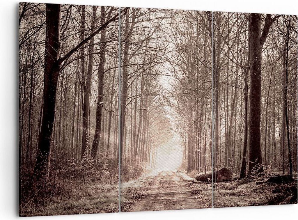 Bild auf Leinwand - Leinwandbild - Wald Straße Baum - 105x70cm - Wand Bild - Wanddeko - Wandbilder - Leinwanddruck - Bilder - Kunstdruck - Wanddek...