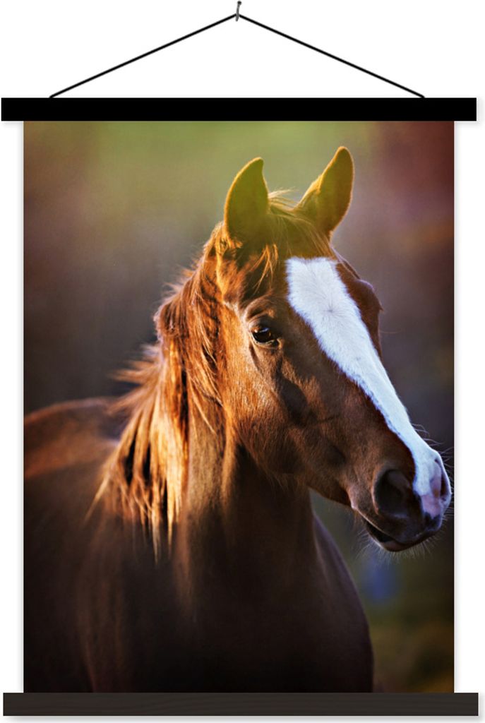 MuchoWow Textilposter Porträt eines braunen Pferdes in der Sonne 60x80 cm mit schwarzem Rahmen - Plakathalter