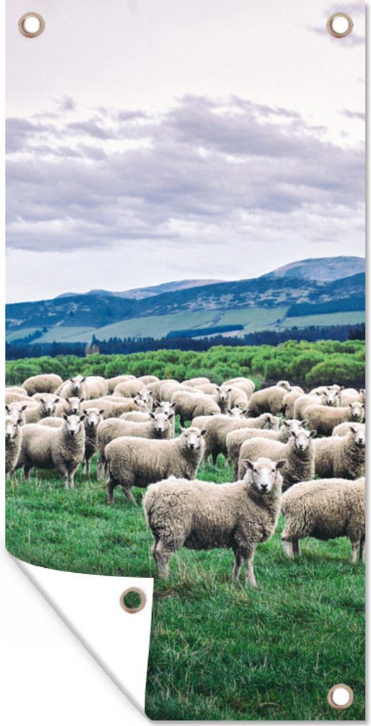 MuchoWow 30x60 cm Outdoor-Poster Gartendeko Sichtschutz Garten Poster für den Garten Schafe - Natur - Gras
