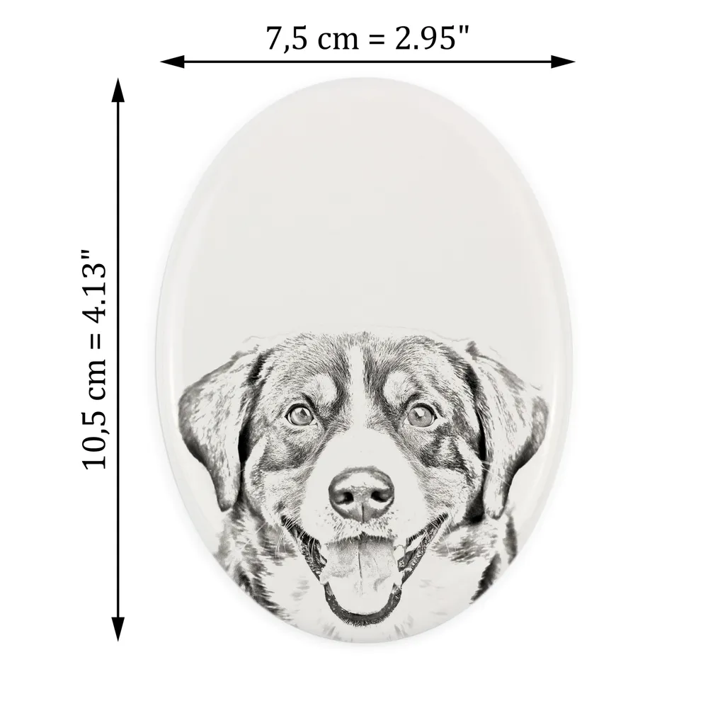 Art-Dog Targa Commemorativa Bovaro dell'Entlebuch | Ceramica Ovale - 2