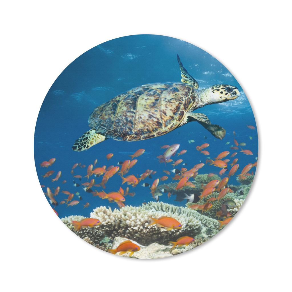 MuchoWow Mauspad Mousepad Korallenriff mit Schildkröte 30x30 cm - Mousepads - Maus Mat - Pad - Mausunterlage - Tischunterlage - Schreibtischmatten