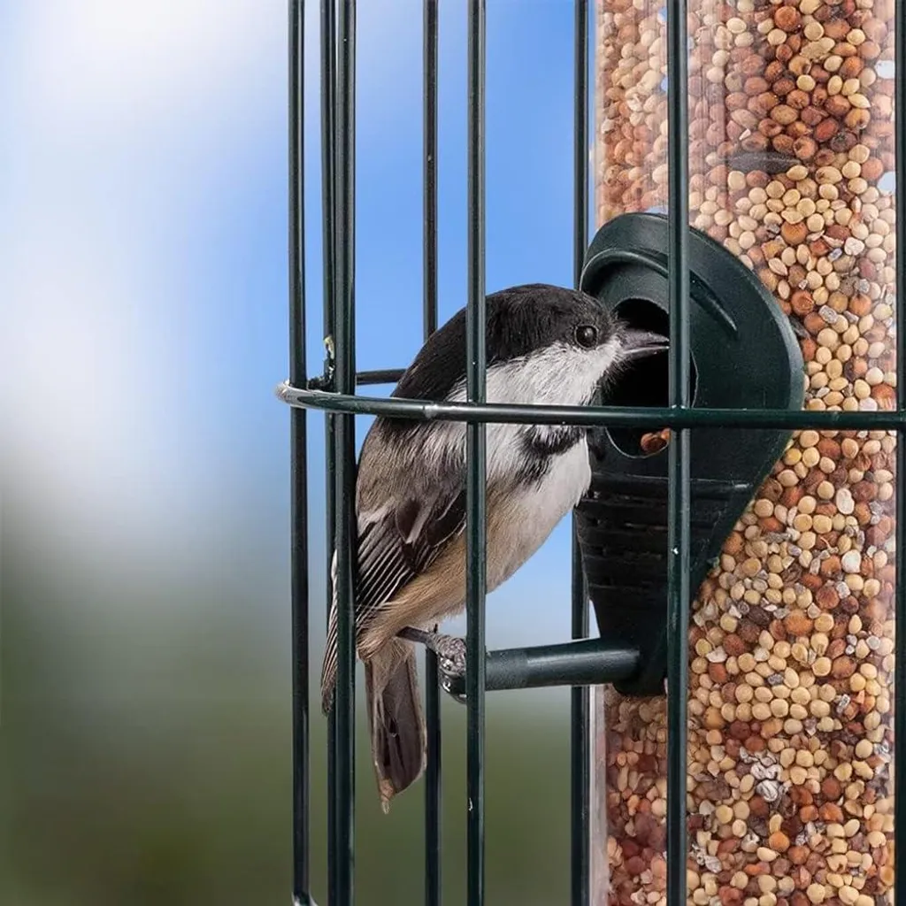 Maisonnette oiseaux extérieurs - Cabane d'observation en bois brut