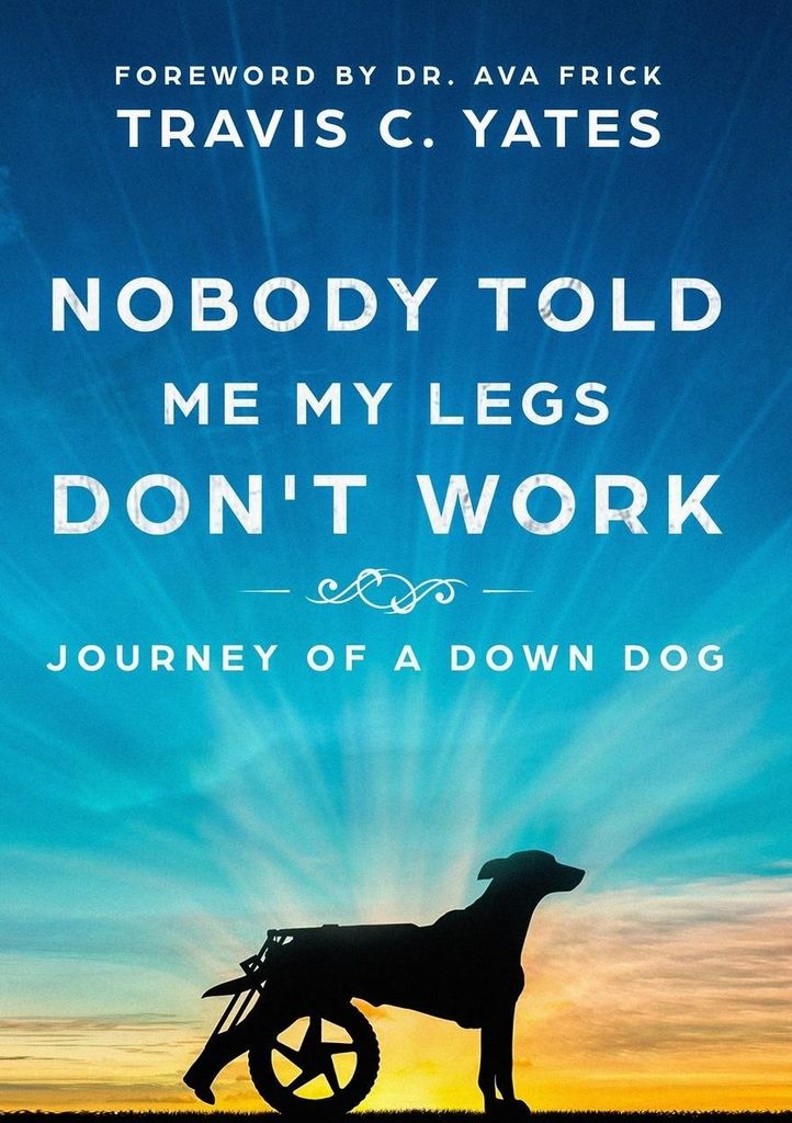 Nobody Told Me My Legs Don't Work