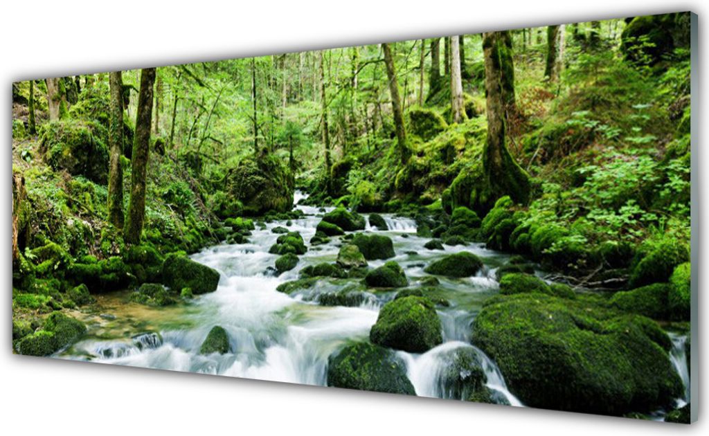 Acrylglasbilder 125x50 Wandbild Druck Wald See Steine Natur