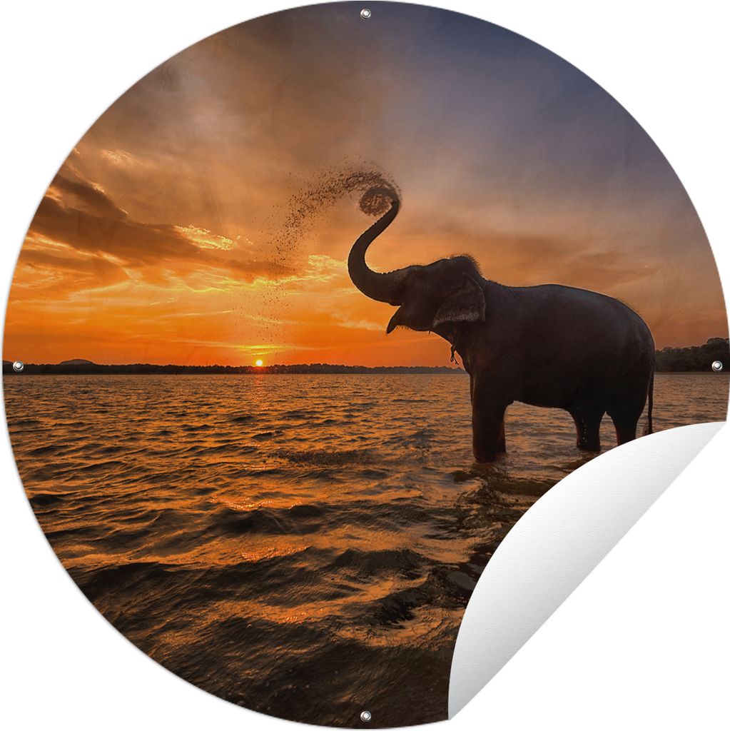 MuchoWow Gartenposter Outdoor-Poster Rund Elefant - Meer - Tiere - Sonnenuntergang - Orange Ø 120 cm Gartendeko Rundes Poster draußen