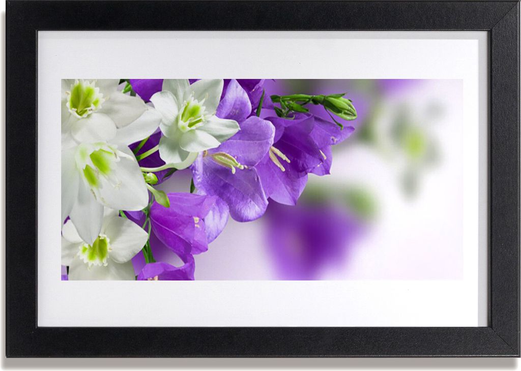 Bild 30x20 MDF-Rahmen Wandkunst Blumen Pflanzen Natur